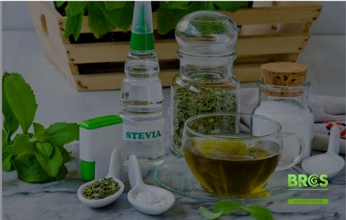 ISO 22000 Certification